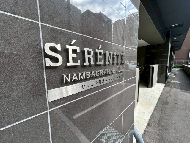セレニテ難波グランデシュッドのその他
