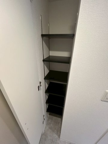 セレニテ難波グランデシュッドの収納