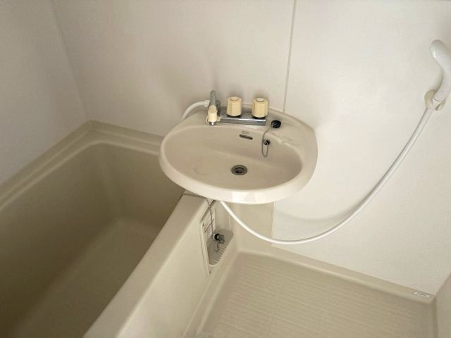 アミティハイムの洗面所