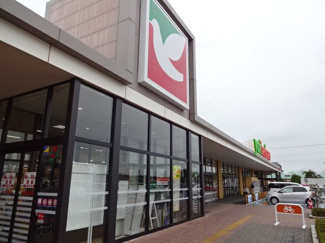 【周辺】 | （仮）横倉新築アパート | ヨークベニマル小山雨ヶ谷店まで1,998ｍ