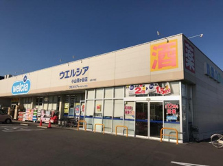 【周辺】 | （仮）横倉新築アパート | ウエルシア小山雨ケ谷店まで1,645ｍ