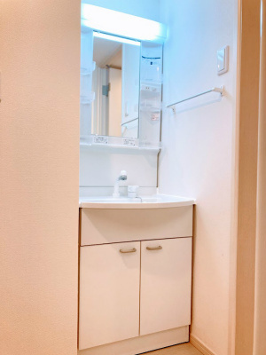 リブリ・MORE 1stの洗面所