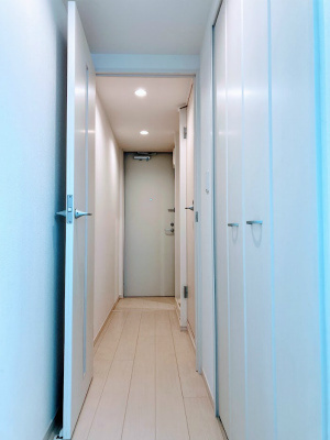 リブリ・MORE 1stの玄関