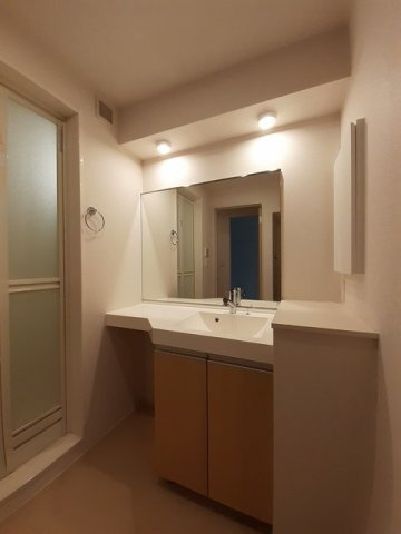 グリーン　リーブスⅡの洗面所