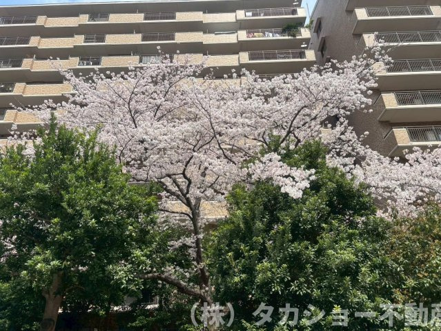 【その他共用部分】 | ヴィルフォーレ稲毛　6番館