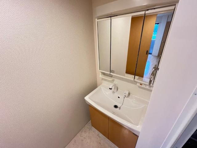 仮）スターテラスⅡ五日市中央の洗面所|洗髪洗面化粧台（イメージ）