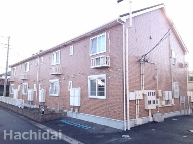 ファインコスモス