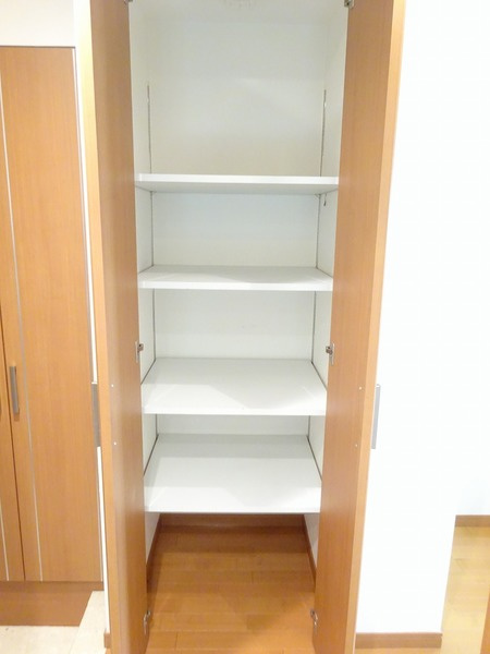 日神デュオステージ上板橋の収納|たっぷりとした収納スペースです