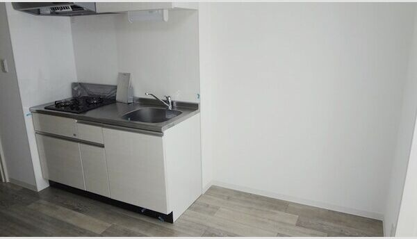 ル・ソレイユのその他