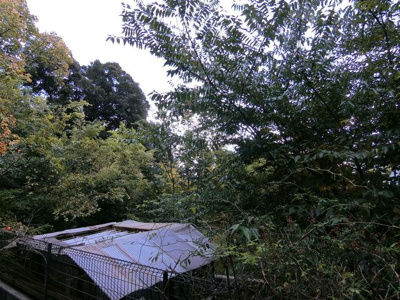 【展望】 | モンチャテウ | ☆参考写真☆