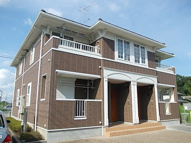 フォレストの画像