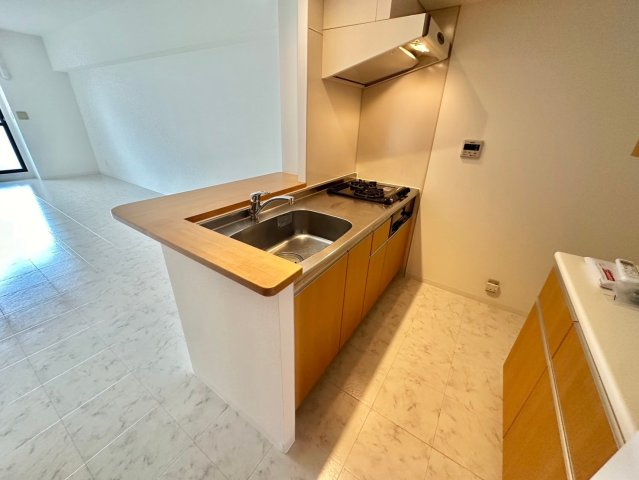 キャッスルコート西新町のキッチン