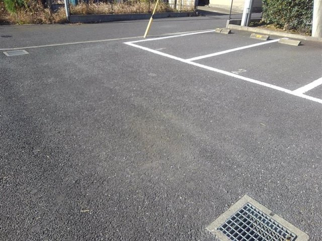 レオネクストグライスのその他