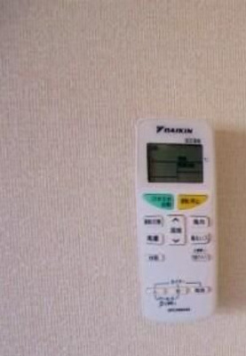 【その他】 | サザンクロス