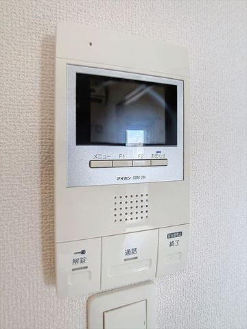 ドルチェヴィータ大橋のセキュリティ