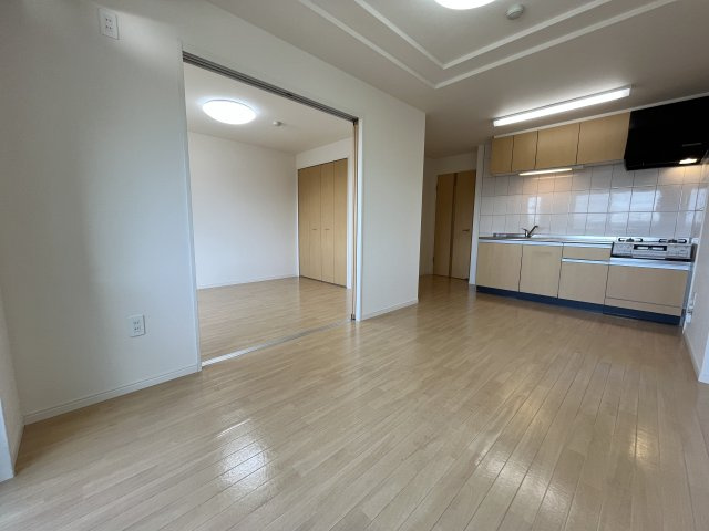 エクセレント桜マンションの内装