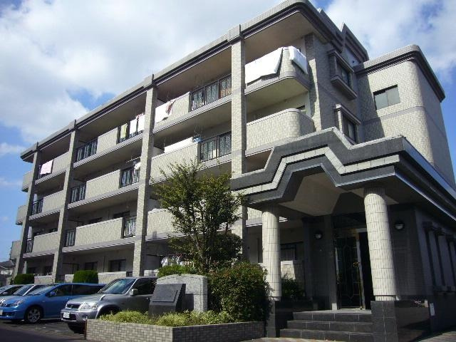 福岡市南区向新町２丁目の賃貸マンションの外観|外観写真