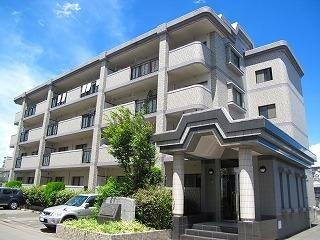 福岡市南区向新町２丁目の賃貸マンションのエントランス|エントランス写真