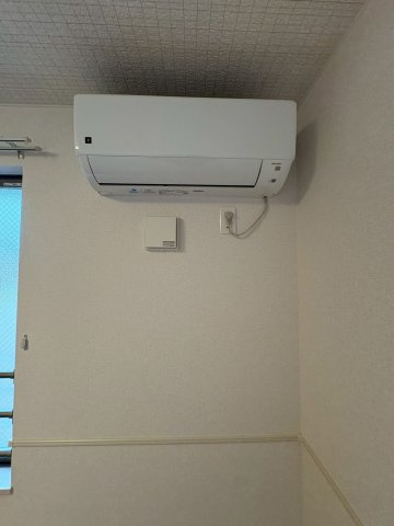 saliierの内装