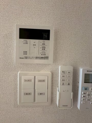 saliierの内装
