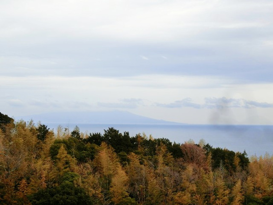 【展望】 | ライオンズヒルズ熱川