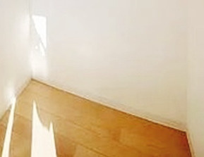 ｙ　ｐｏｉｎｔ