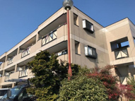 サザンフィールドの画像