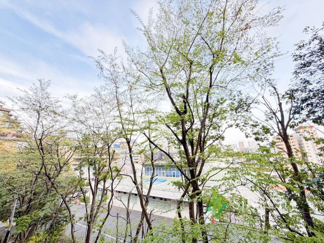 麻布霞町パークマンションの展望