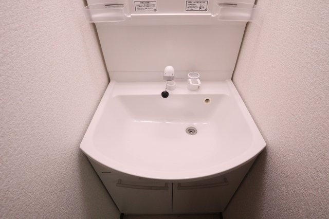 雅マンションの洗面所