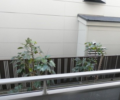 ミハス阿佐ヶ谷の展望