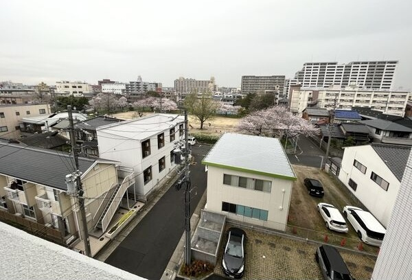 ルディアマンの展望
