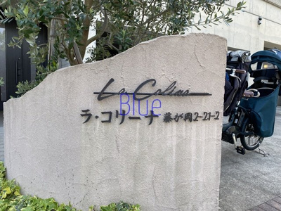 【その他】 | ラ・コリーナ