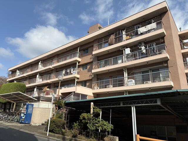 生田フェニックス