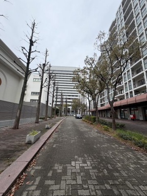 【周辺】 | 神戸パークアベニュー