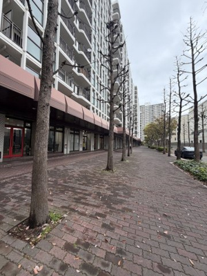 【周辺】 | 神戸パークアベニュー