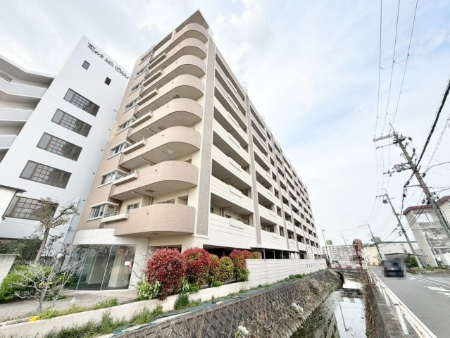 セザール狭山の画像