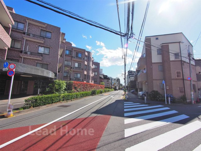 【その他】 | クレッセント上野毛 | 前面道路