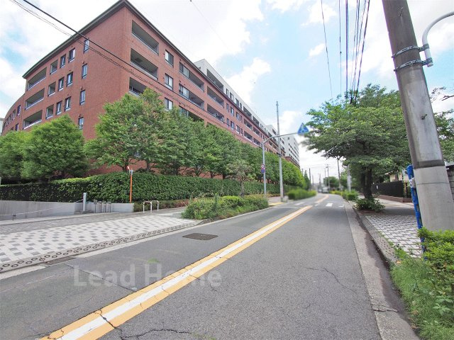 【その他】 | ラ・コルダ弦巻フォレストコート | 前面道路