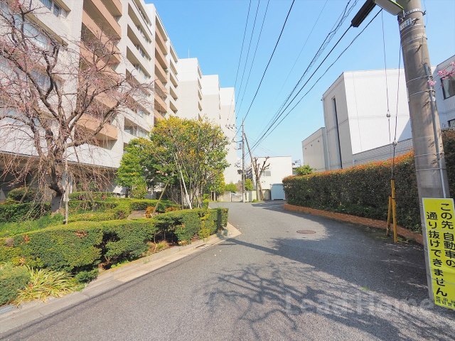 【その他】 | 世田谷アインス美しの杜 | 前面道路