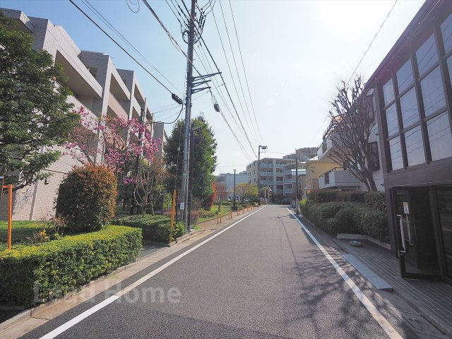 【その他】 | 世田谷アインス美しの杜 | 前面道路