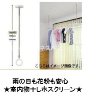 メラースのその他
