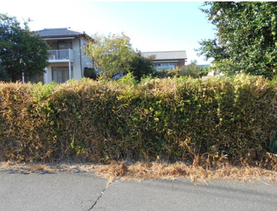 【外観】 | 藤岡市立石　売土地