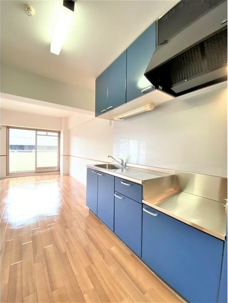 Vg.Tree(ビレッジトゥリー)東棟のキッチン