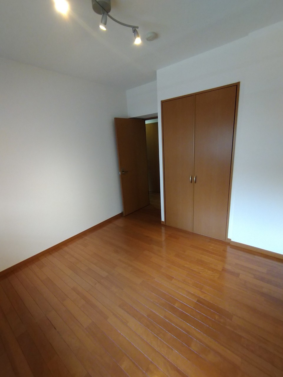 葛飾区白鳥１丁目の賃貸マンションの洋室