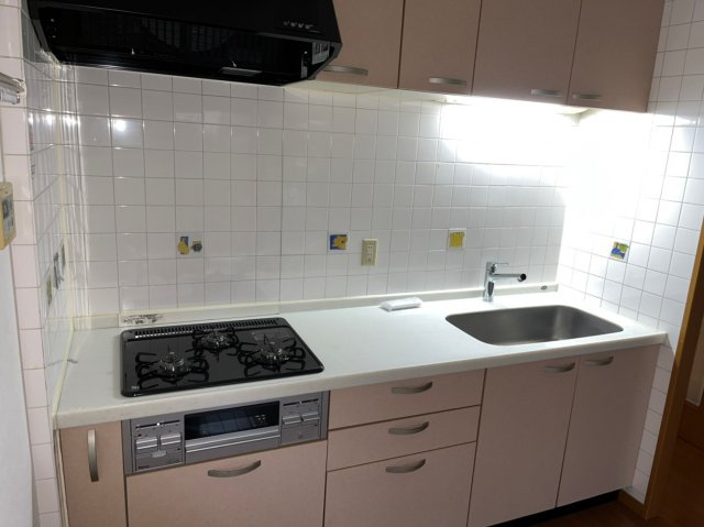 葛飾区白鳥１丁目の賃貸マンションのキッチン