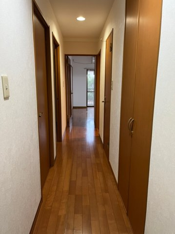 葛飾区白鳥１丁目の賃貸マンションの内装