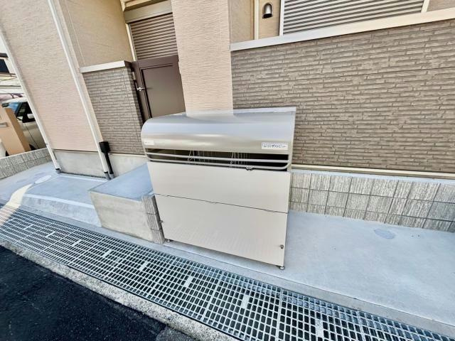F asecia chypreのその他
