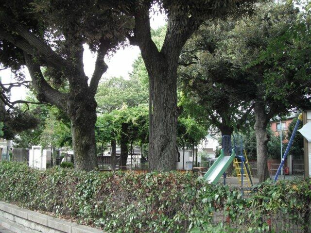 西片公園まで517m