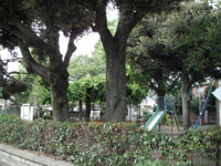 西片公園まで517m