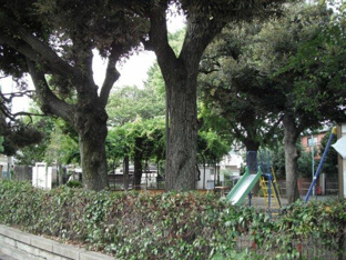 西片公園まで517m